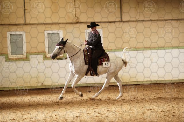 s_K3F01072.JPG